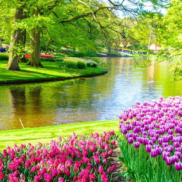 IN OLANDA PER IL KEUKENHOF: LO SPETTACOLO DELLA NATURA, IL FASCINO DELLE CITTÀ D’ARTE